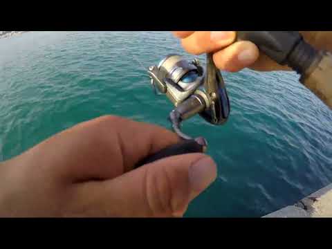 Micro Jigging İle Yazılı Orkinos Avı