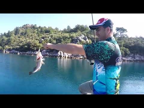 Savage Gear Sandeel İle Plaka Lahozu Gold Blotched Grouper