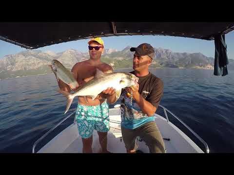 Ukraynalı İle Dev Kuzuları Kandırdık Amberjack Fishing With