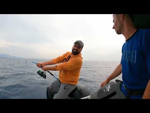 Spin Takımla Rekor Kırdık Giant Bluefin Tuna On Spinning