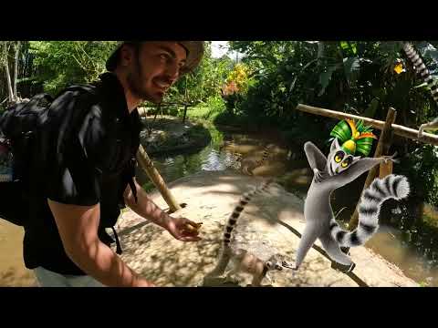 Madagaskar Vahşi Yaşam Parkını Gezdik DeliMiNe