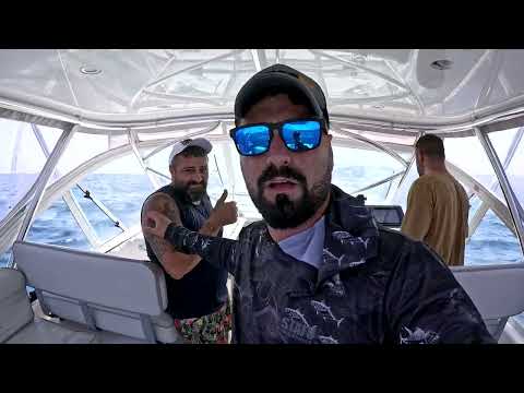 Orkinosları Hangi Yemle Yakaladığımıza İnanamayacaksınız