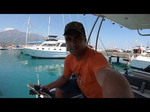 Tavana Yapışan Balık Yakaladım Dünyanın En Tuhaf Balığı