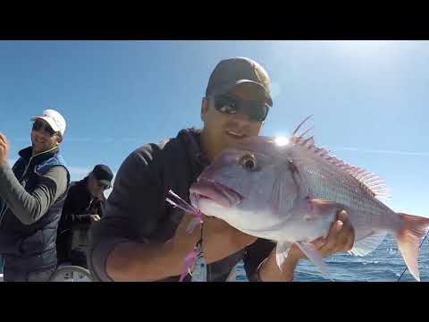 Okuma Azores Heavy Duty Spinning Jigging Reel