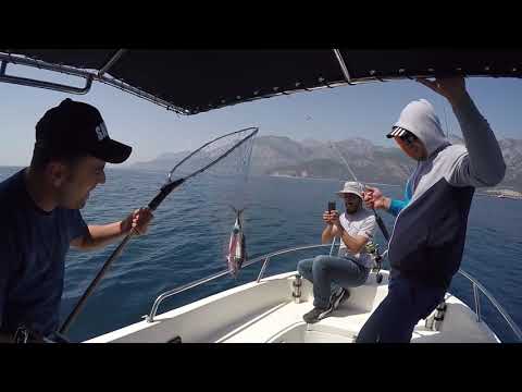 Bu Yeme Gelen Balığa İnanamayacaksınız Savage Gear Swim