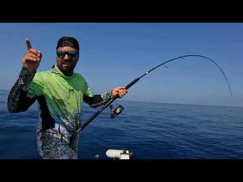 Hayatımın İlk Çizgili Orkinosunu Yakaladım Skipjack Tuna