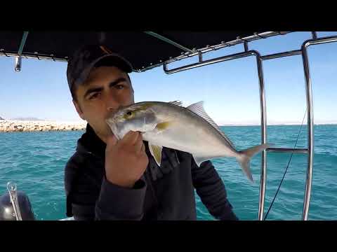 Öğlen Vakti Güzel Sürü Bulduk Light Jigging İle 11 Parça Dev