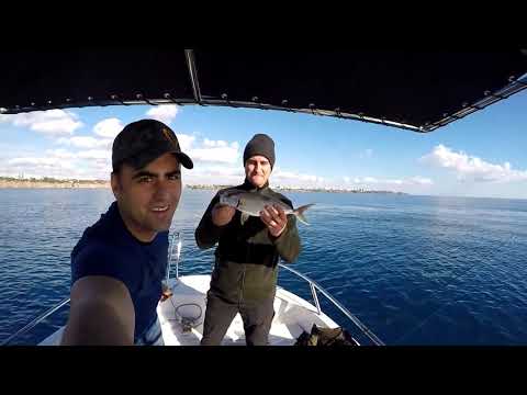 Savage Gear Psycho Sprat Jiglerle Kuzu ve Tral Şov