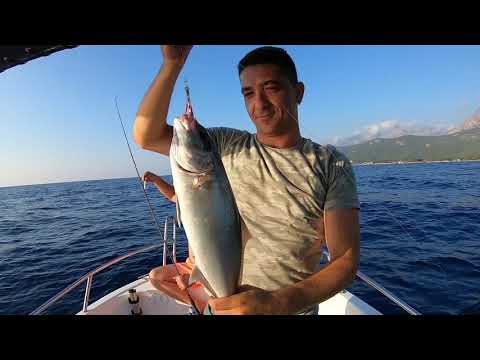 Dev Balık Cennetine Düştük Rüya Gibi Bir Jigging Avı