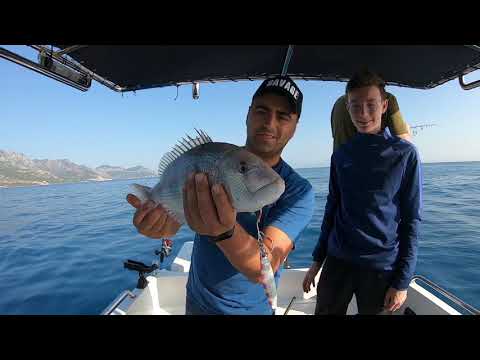 Antalya nın Kayıp Balığını Yakaladık Denizlerin En Güzel