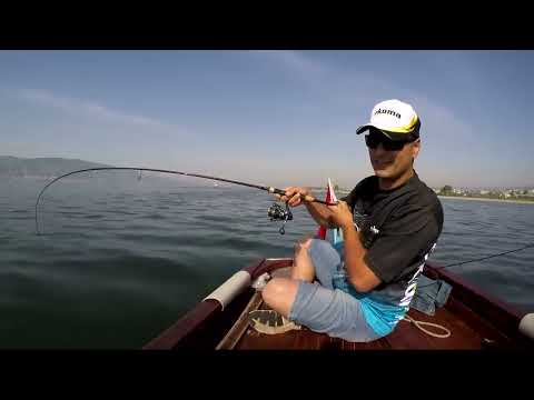 Marmara da LRF Takımı İle Köpek Balığı Avı Sharks On LRF