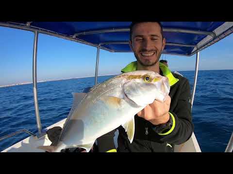 Hafif Takımlarla Unutulmaz Bir Gün LRF Amberjack Challange