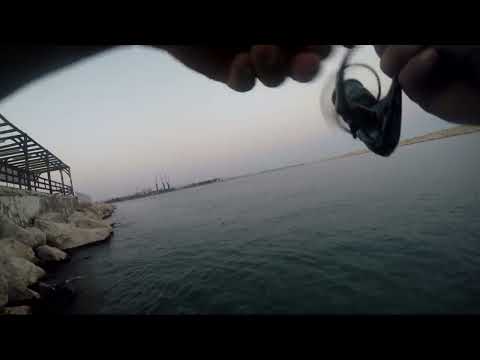 Savage Gear Twitch Minnow 66 ile Levrek Avı Seabass on LRF