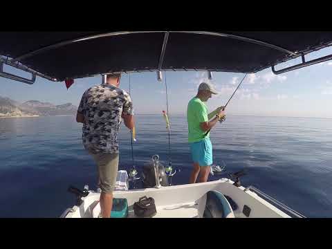 Balık Sürülerini Bulduk Crazy Amberjack Jigging