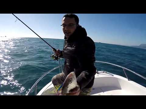 Kısa Sabah Suyunun Kuzusu Light Jigging Amberjack