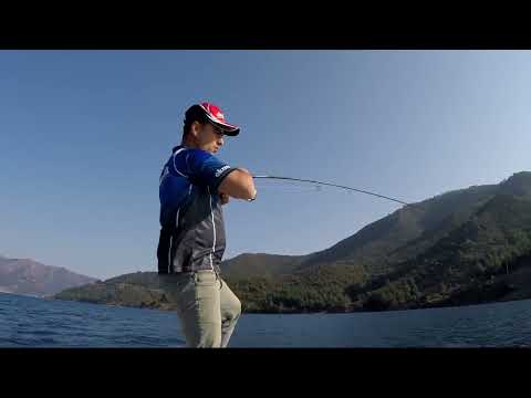Light Jigging Kuzu Avı Amberjack Live Strike