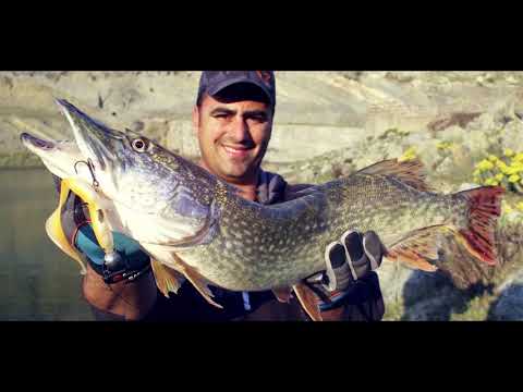 Yeni Jiglerle Efsane Bir Av Yaptık Savage Gear 3D Jig Minnow