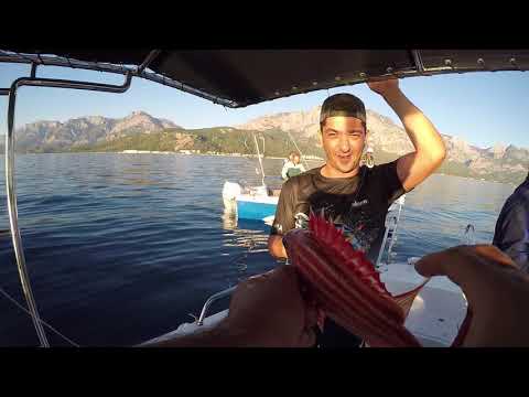 Dev İstavritli Keyifli Bir Balık Avı Such A Good Day Of