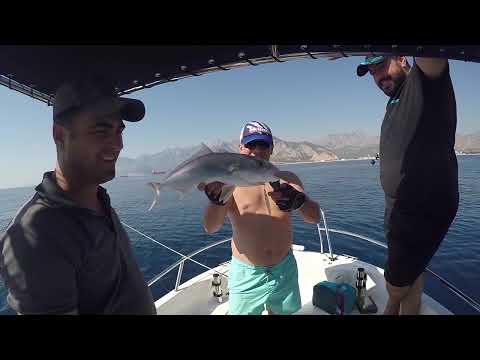 Savage Gear Salt 1DFR Slow Jigging Kamışları Yeni Efsane