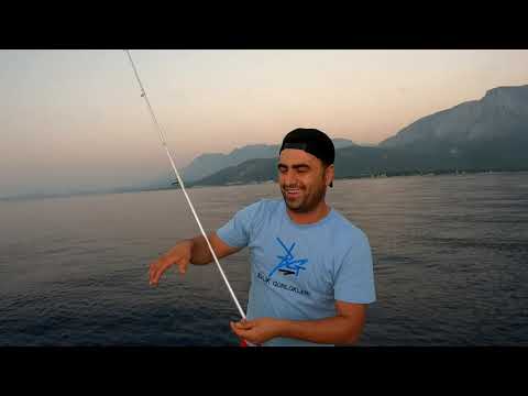 Bu Yöntemle Balık Yakalamak Çok Kolay