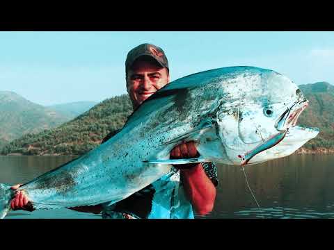 Hakkımda Merak Edilenleri Cevapladım Visual Fishing İle