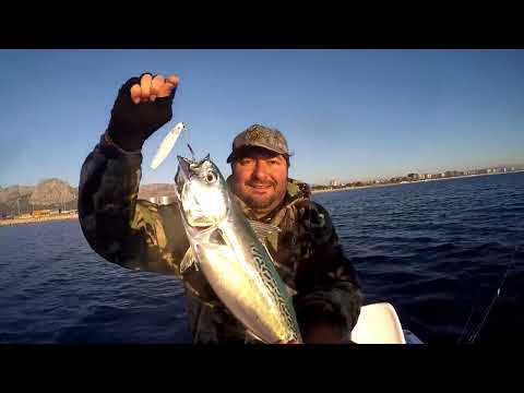 Hasan Abinin Jigle İlk Balığı Yazılı Orkinos Oldu