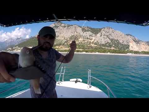 Savage Gear 3D Vib İle Fare Balığı Challange Sonuç 20 15
