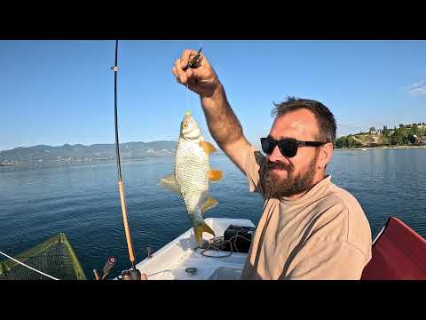 Sapanca Gölüne Bir Kova Yem Döküp Balığın İçinden Geçtik