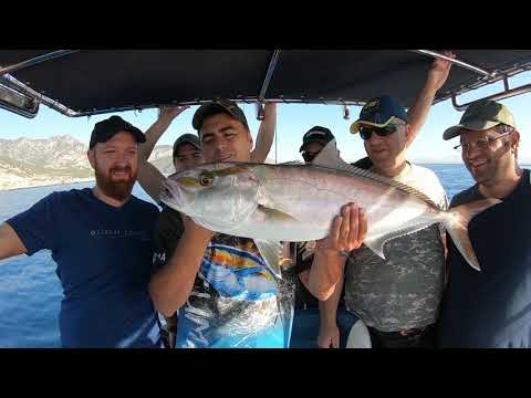 Dev Balıklarla Dolu Bir Av Günü Live Bait For Giant