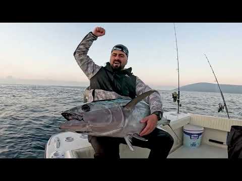 Sadece Yapay Yem Kullanarak 1 Ton Balık Yakaladık