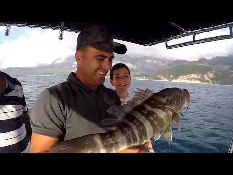 Doğum Günü Hediyesi Denizden Geldi White Grouper As A Birth