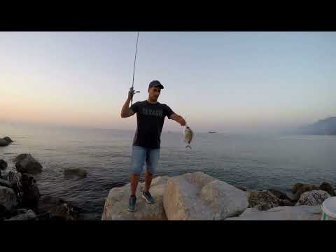 LRF Micro Jigging İle Sargoz Avı