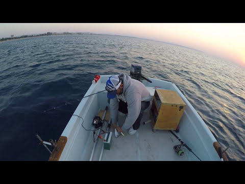 Gökhan Kaptan dan Vertical Jigging İle Tral Avı Blue Runner