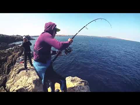 Dünya Rekoru Kıyıdan Mavi Yüzgeçli Orkinos Avı World Record