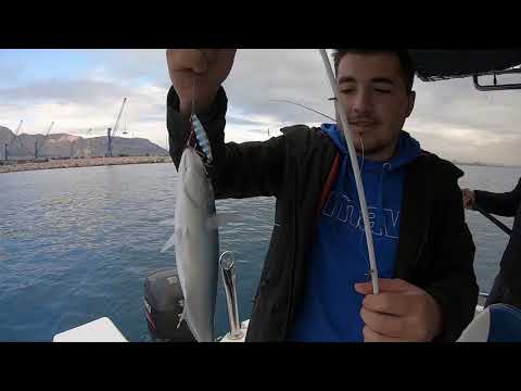 Dev Balığın Kaç Kilo Geldiğine İnanamayacaksınız Giant