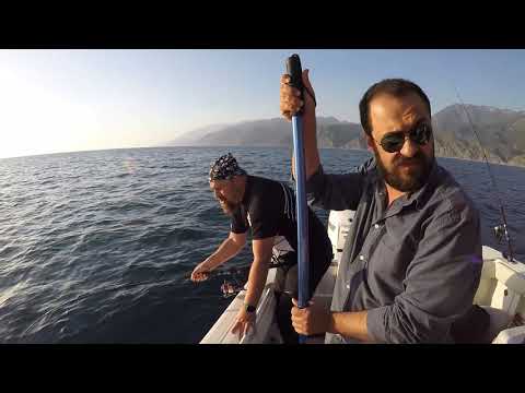 Orkinos Sürüsünün İçine Düştük Tuna Spinning Mayhem