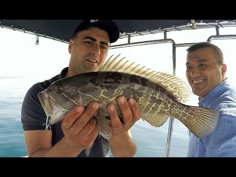 Light Jigging ile 15 Kilodan Fazla Balık Tuttuk