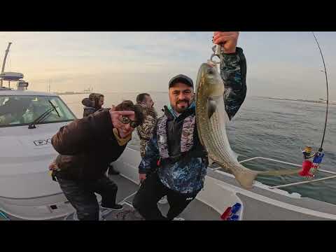 Rekor Boy Kefalleri Jigle Yakaladık Japonya da Balıkların
