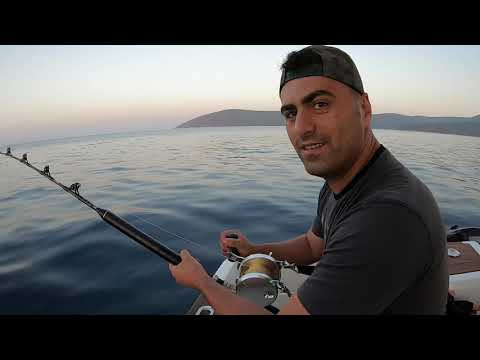 Dev Orkinoslarla Efsane Macera Yüzlerce Kilo Balık Yakaladık