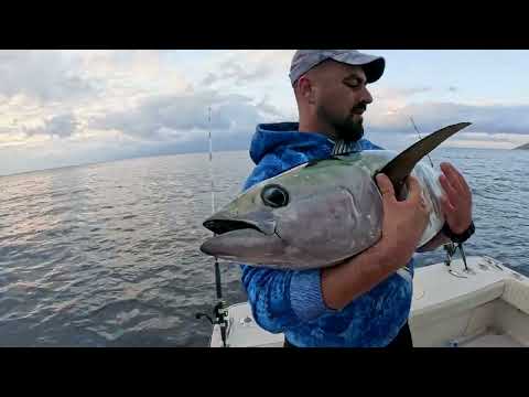 Dev Balık Kamışı Kırdı Vertical Jigging Yöntemi İle