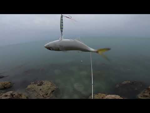 Kıyıdan Balık Tutmanın En Eğlenceli Şekli LRF Micro Jigging