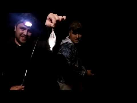 Kıyıdan LRF Yöntemi İle Unutulmaz İstavrit Avı Balık