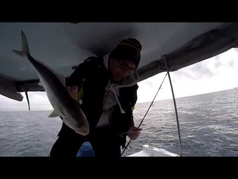 Yusuf Abi Savage Gear Squish Jigle Şov Yaptı