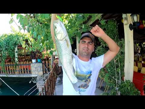 Manavgat ın Cennet Doğasında Balık Yakaladık Yangından 1