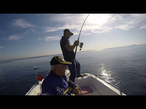 Tekneden Light Jigging İle Kuzu Avı Amberjack Jigging Live