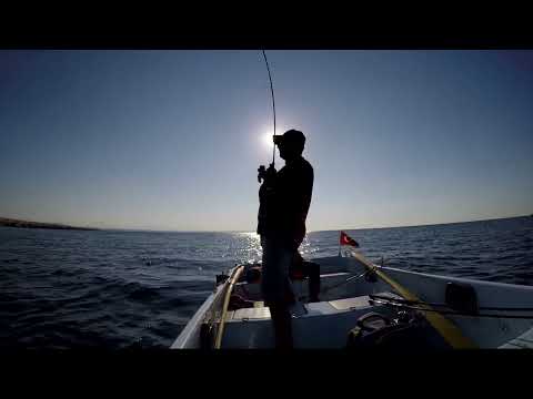LRF Micro Jigging Plaka Lahozu Gold Blotched Grouper