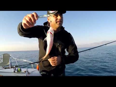 Light Jigging İle Sürpriz Mercan Avı