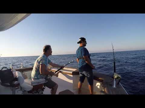 Dev Albacore Orkinosları Bulduk Double Hook Up Tuna Fishing