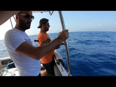 Yeni Teknemin Rekor Balığı Kaç Kg Geldi Giant Amberjack