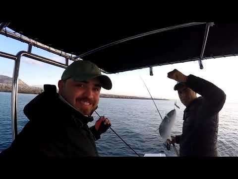 Keyifli Bir Light Jigging Avı